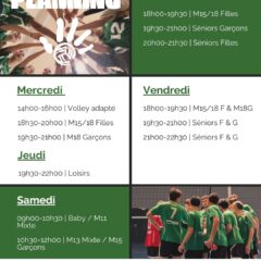 🏐 Informations Saison 2025/2026